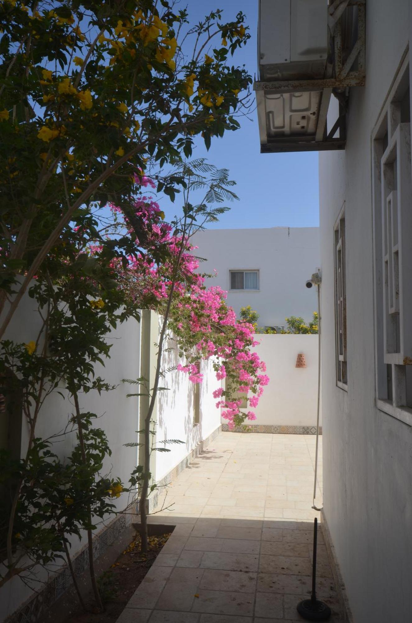 Elite Residence Dahab Dış mekan fotoğraf